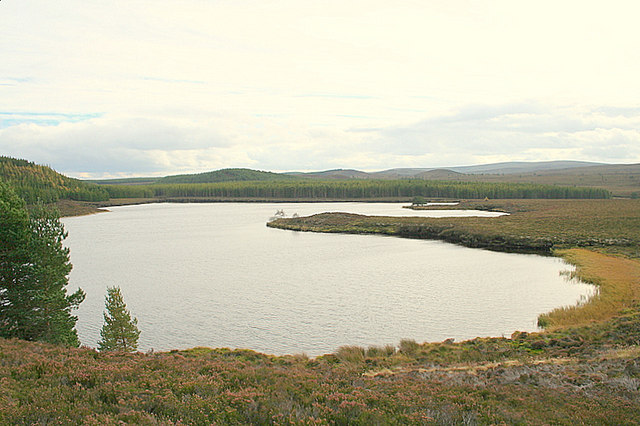 Loch Dallas Fishing