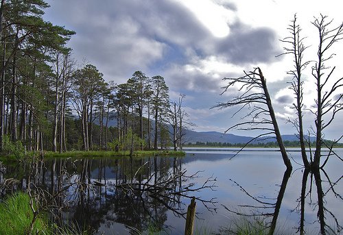 Loch Garten Fishing