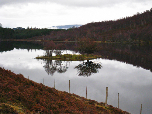 Loch Gynack Fishing