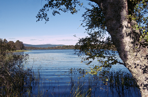 Loch Kinord Fishing