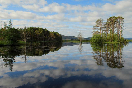 Loch Mallachie Fishing