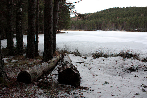 Loch Ullachie