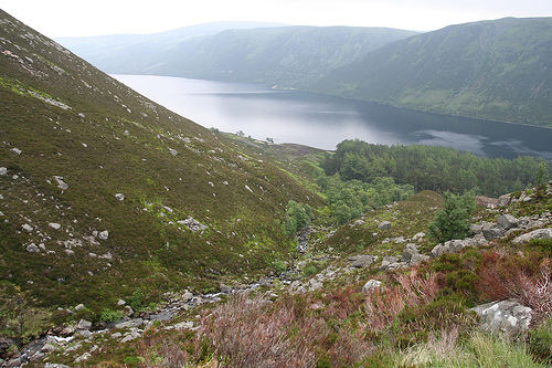 Lochnagar Fishing