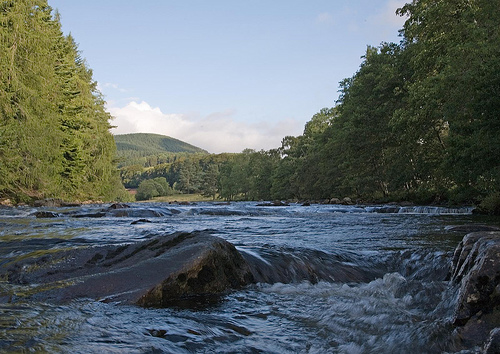 River Dee Fishing