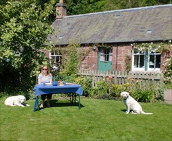 kirriemuir self catering